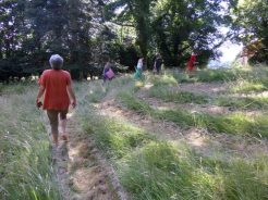 walking the spiral during the summer solstice retreat